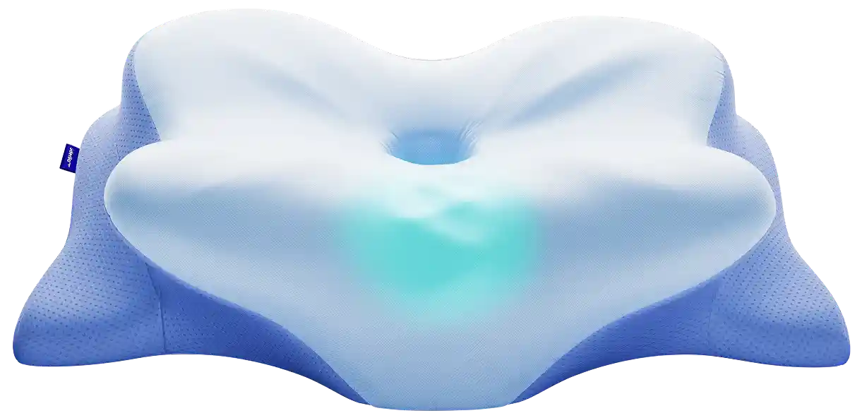 Derila Ergo Pillow &mdash; Memory Foam Benefits Spinal Alignment Diagram